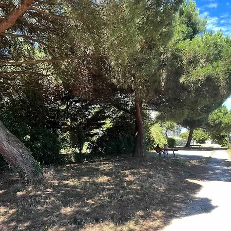 Apartment Proche Et Centre La Rochelle (Charente-Maritime)